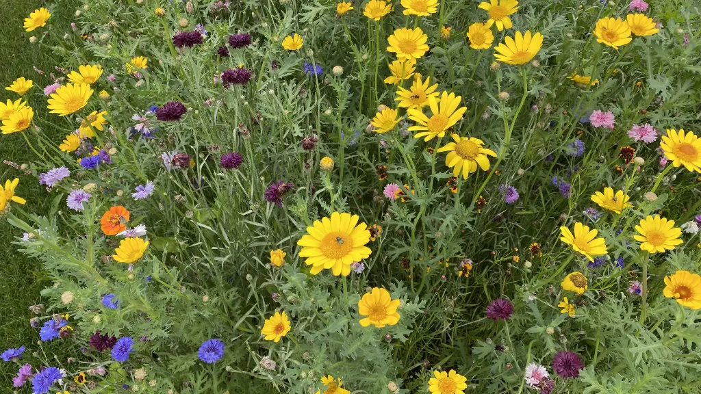 New Wave_27.7.2021 (7).webp