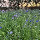 thuis4 vierkant.webp