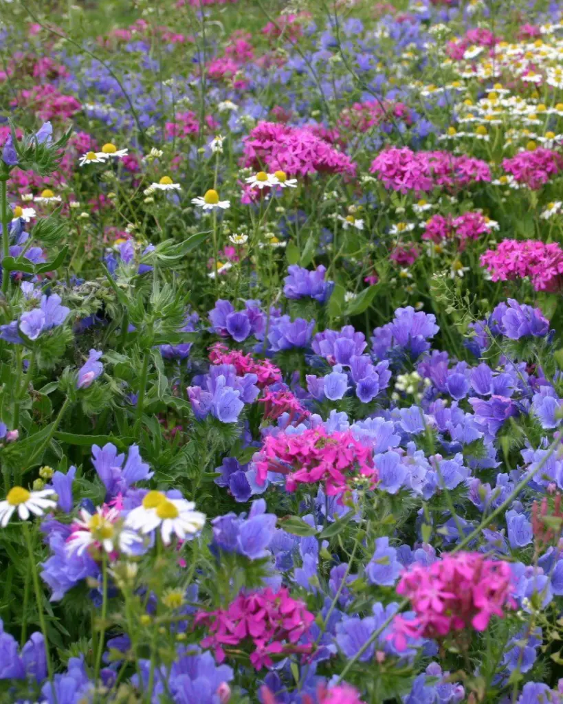 gothic rechthoek.webp