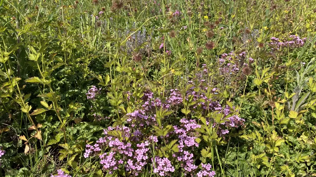 2022_2. Staygreen 10_17 mei (2).webp