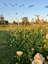 2026 Staygreen 7 (3).webp