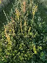 2026 Staygreen 10 (2).webp